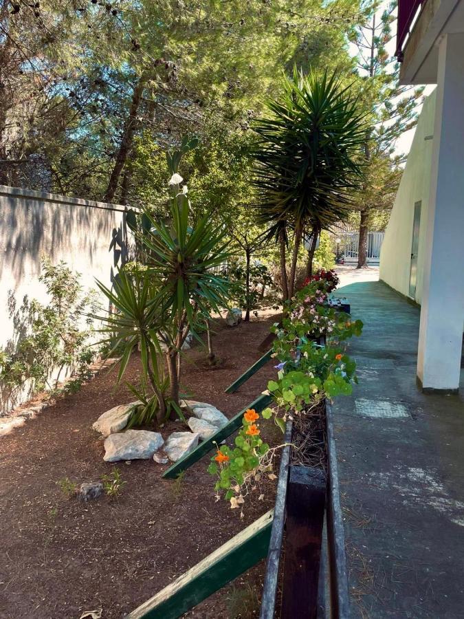 Smit House Bed & Breakfast Torre dell'Orso Ngoại thất bức ảnh